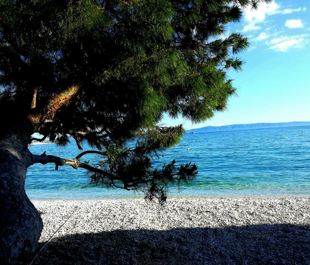 Anicas Panoramic Sea Weue Lägenhet Makarska Exteriör bild